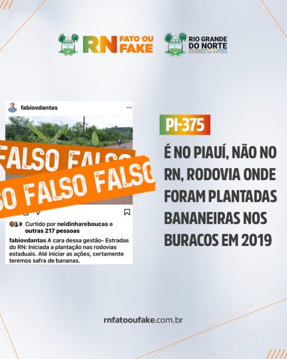 É no Piauí, não no RN, rodovia onde plantaram bananeiras em protesto contra buracos em 2019