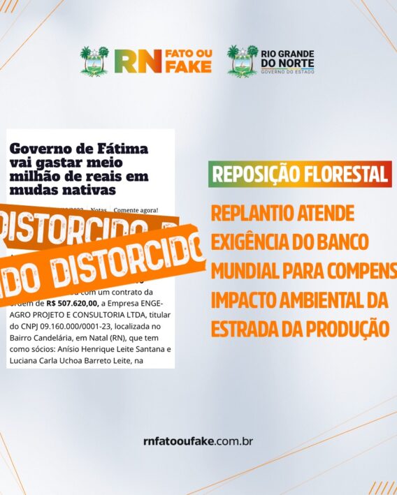Replantio atende exigência do Banco Mundial para compensar impacto ambiental da Estrada da Produção