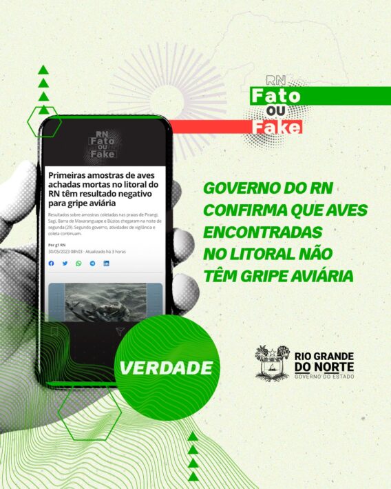 Governo do RN confirma que aves encontradas no litoral não estão infectadas com gripe aviária