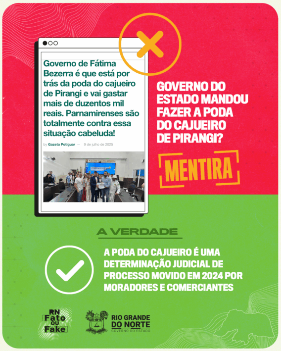 É falso que Governo do Estado “está por trás” da poda do cajueiro de Pirangi